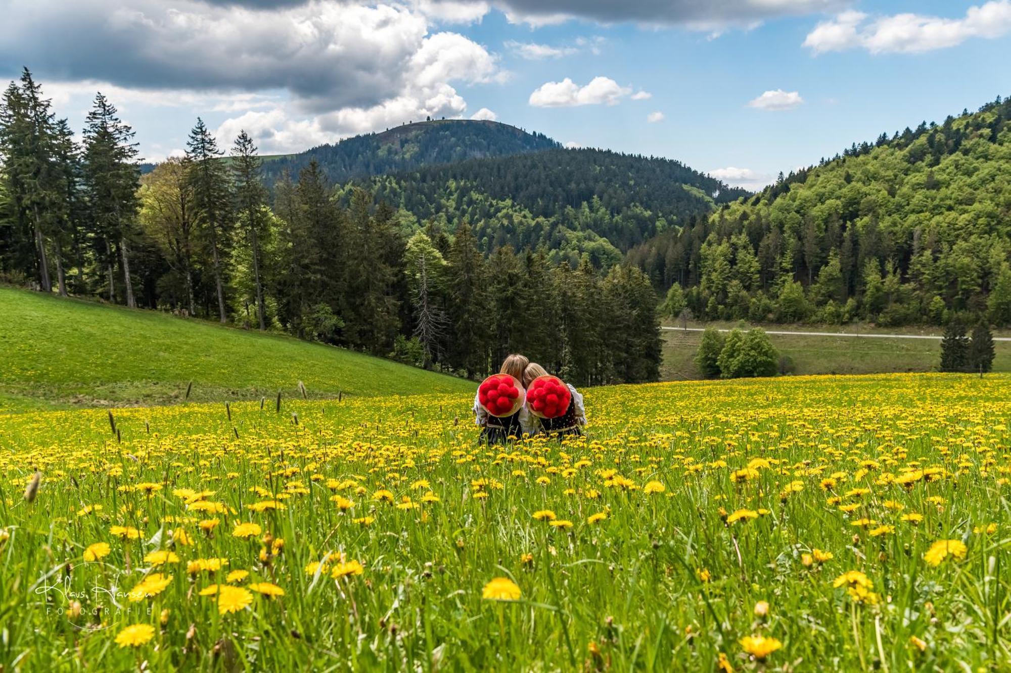 Vila Schwarzwaldhaus Sonnenstrasse, Oberried-Hofsgrund, Dreisamtal Oberried  Exteriér fotografie