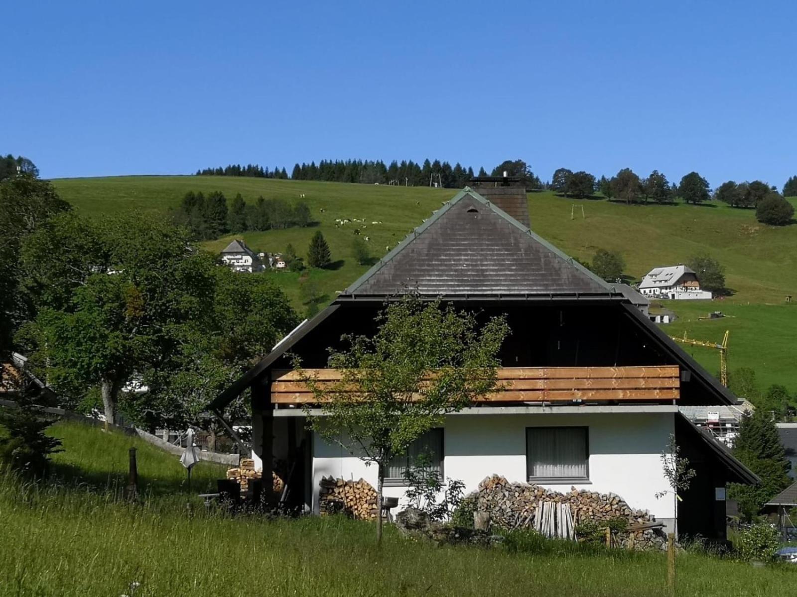 Vila Schwarzwaldhaus Sonnenstrasse, Oberried-Hofsgrund, Dreisamtal Oberried  Exteriér fotografie