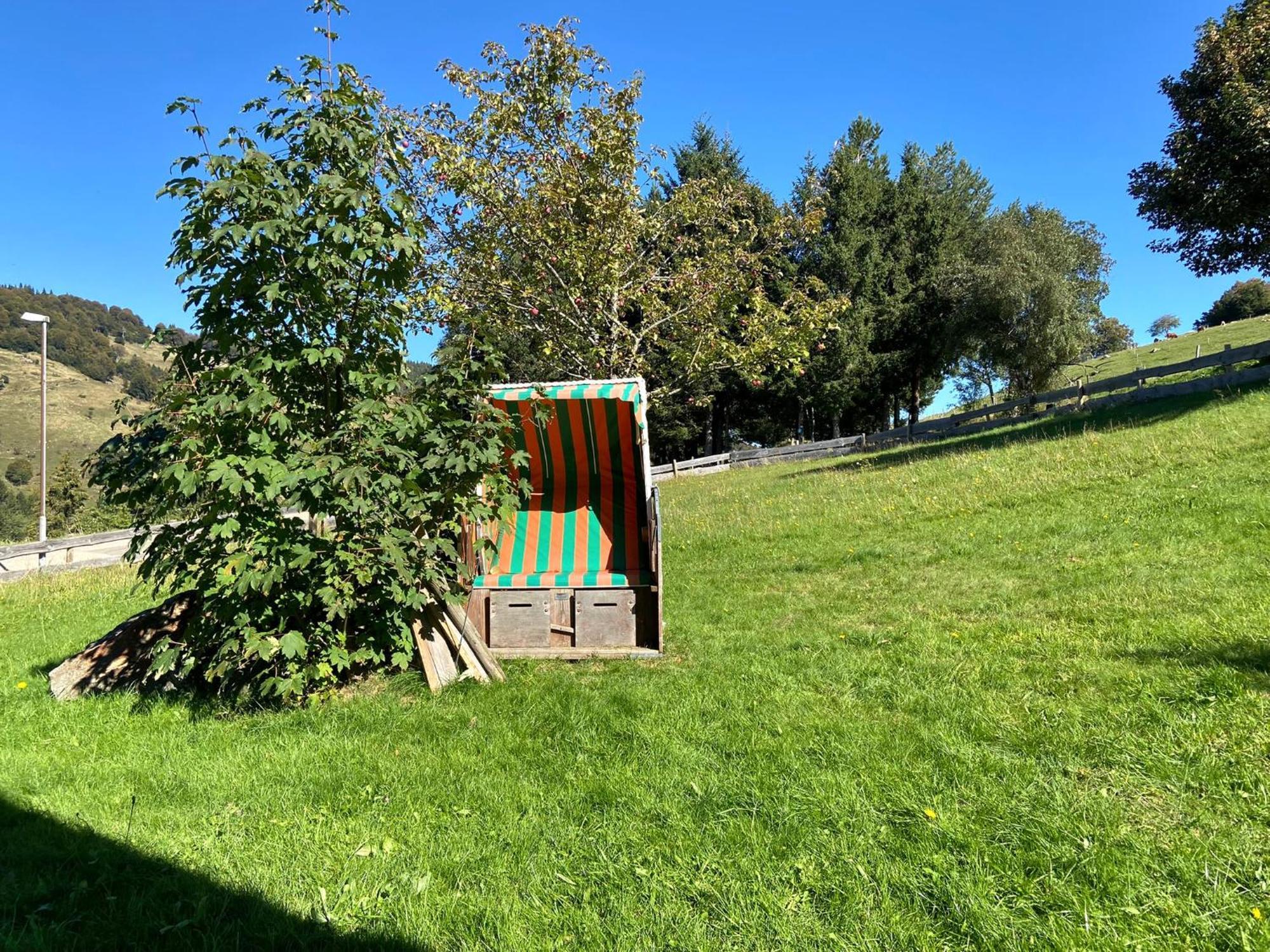 Vila Schwarzwaldhaus Sonnenstrasse, Oberried-Hofsgrund, Dreisamtal Oberried  Exteriér fotografie