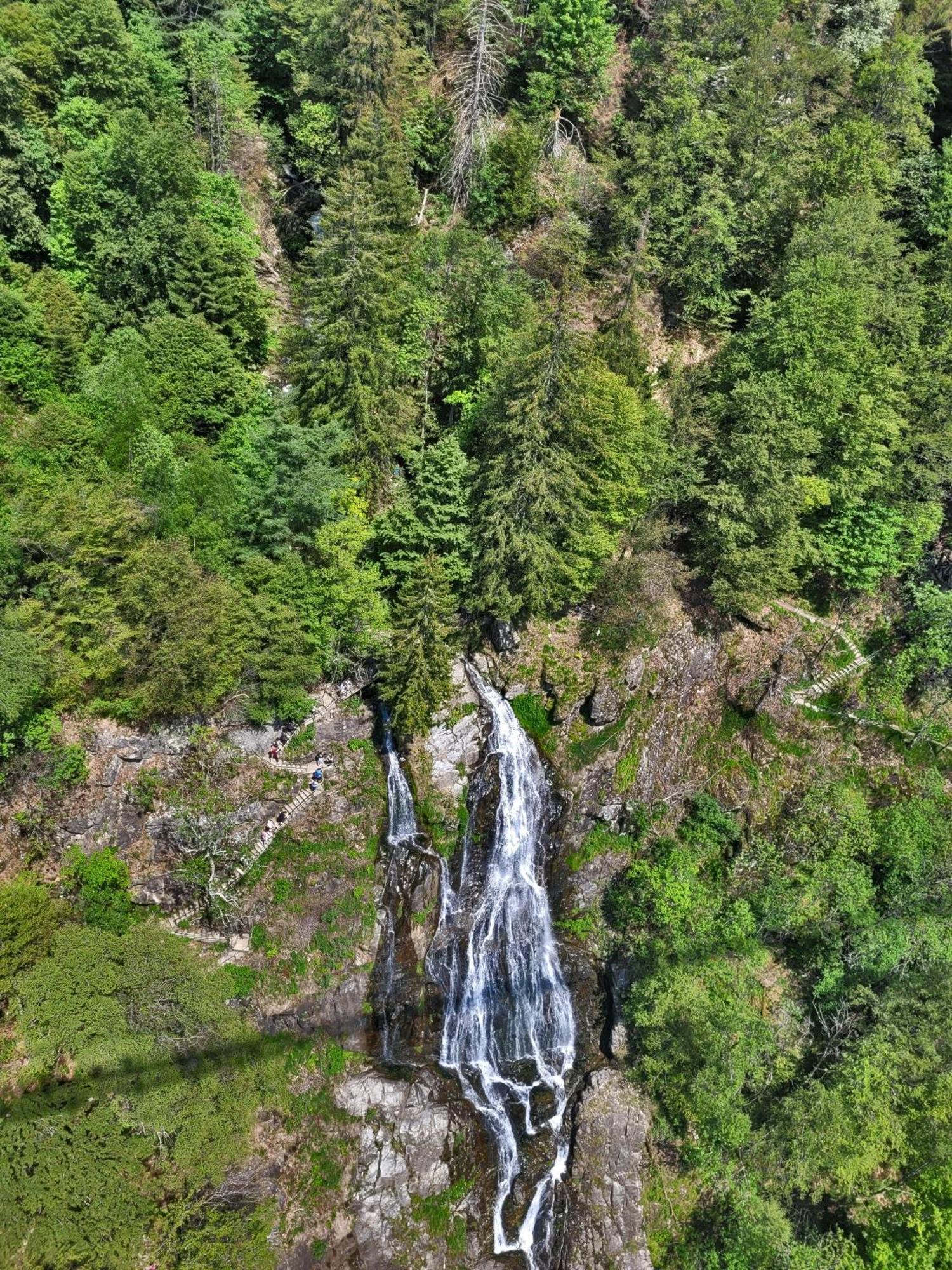 Vila Schwarzwaldhaus Sonnenstrasse, Oberried-Hofsgrund, Dreisamtal Oberried  Exteriér fotografie